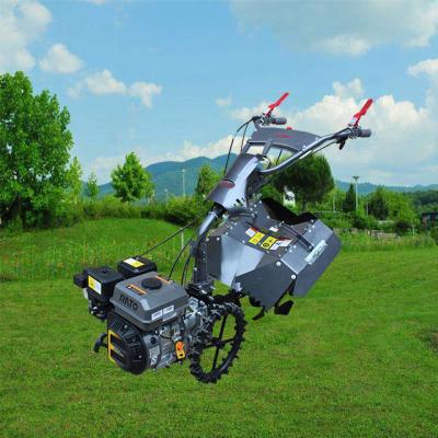 China Multifunctional Factory Tiller Rotary Cultivator Cultivator Agricultural Machinery Tools for sale