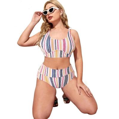 China New European and American large size women's high waist slit bikini striped swimsuit for sale