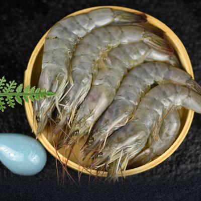 China Made in China Top Quality Fresh Frozen Red Penaeus Vannamei Shrimp Chunk for sale