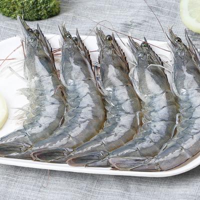 China White Leg (Penaeus grade a frozen piece of Palladium Vannamei Shrimp for sale