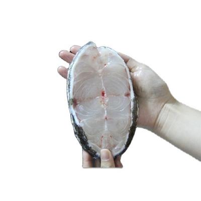 China Good Quality Low-CARB Aquatic Product Hot Selling Frozen Grouper Fish Steak for sale