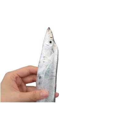 China Best Low-CARB Price Top Quality Trichiurus Ribbonfish Frozen Body for sale