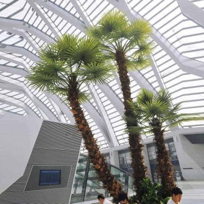 China Minimalist 10m Outdoor Decor Artificial Whashinton Tree Palm Plants for sale