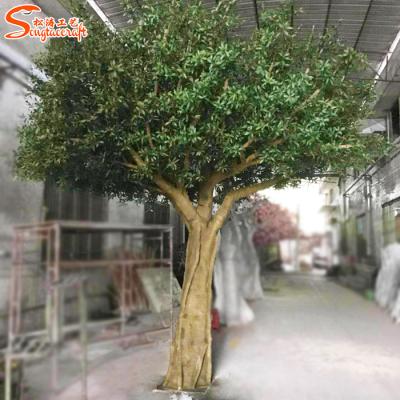 China Landscaping Trunk Custom Large Size Fiberglass Artificial Olive Tree From Guangzhou Songtao Factory for sale