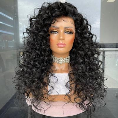 China Body Wave Most Popula 100% Unprocessed Virgin Human Hair Ombre Color Deep Wave HD Lace Front Wigs With Baby Hair for sale