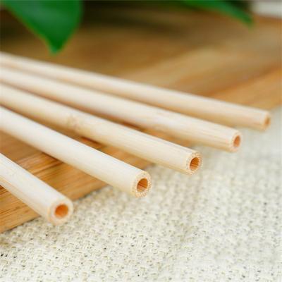 China Straw Set Customized Bamboo Reusable Estick Portable Bamboo Fiber Drinking Straws Bulk Straw For Drinking Green Bamboo for sale