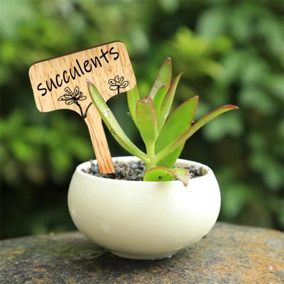 China Herb Label Garden Seedlings Sign T-Shape Modern Bamboo Plant Growing Succulent Wooden Stick Estick Plant Labels For Tags for sale