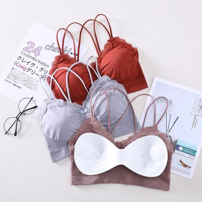 China 2022 Antibacterial New Design Customized Logo Yoga Bra Size Women Sport Wireless Underwear Seamless Bandeau Big Set / Seamless Underwear Customized Bra for sale