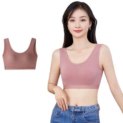 China Antibacterial girls' fashion simple pure color push up seamless bra comfortable women's T-shirt wireless bra for sale