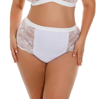 China Mesh Charm Sexy Lace Big Size XXL Sheer Transparent Double Density Temptation Plus Size OEM F G Plus Size Thongs for sale