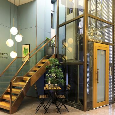 China SIGLEN important product-aluminum alloy frame villa elevator for sale