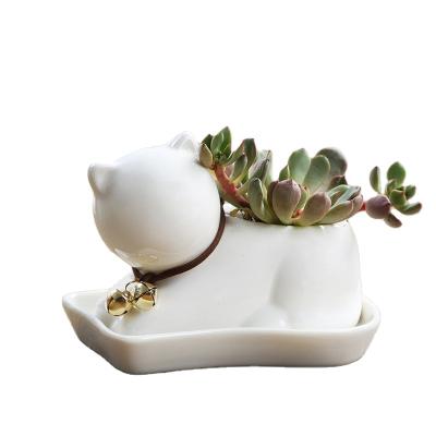 China Korean creative cartoon plant animal ceramic fleshy flowerpot small with small tray flowerpot ornaments factory wholesale for sale