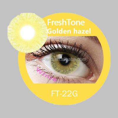 China HEMA Korean FreshTone Ash 2 Tone Color Gold Contact Lens for sale