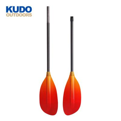 China 2019 Kayak New Arrival Customized Logo Colorful 2 Pieces Fiberglass Sea Kayak Upright Wing Paddle for sale