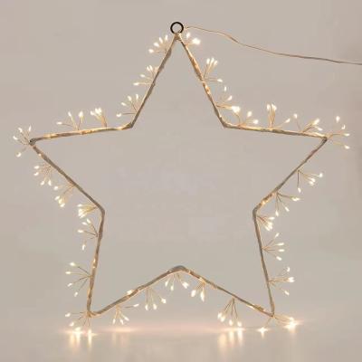 China Other High Quality Warm White Firework Ring Shape Outdoor String Lights For Party for sale