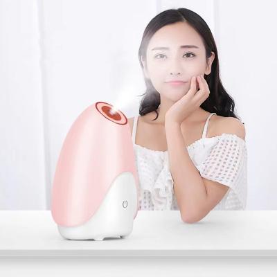 China OEM Factory Nourishing Cold-Hot 2 in 1 Portable Facial Steamer with Wholesale Price for sale