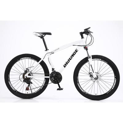 China Promotional High Quality Street Street Mountain Sale Bicycle Bikes Manufactures for sale