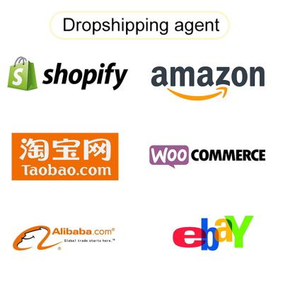 China 2021 professional and excellent warehouse freelance products Dropshipping Shopify ebay dropshipping for sale