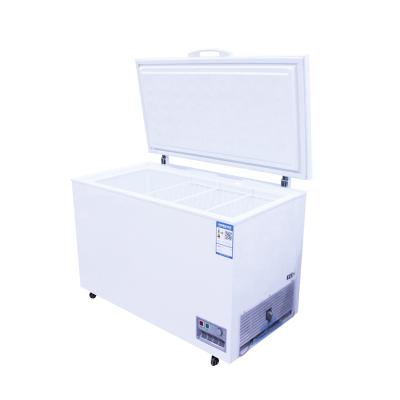 China Fashionable Single-Temperature Well Commercial Quality Easy To Operate Deep Freezer for sale