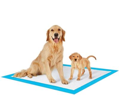 China Pets Disposable 5 Layer Urine Leak Proof Puppy Dog Toilet Training Pee Pad Wholesalers for sale