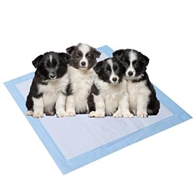 China 5 Layer Durable Disposable Dog And Puppy Potty Pads Leakproof Training Manufacturers 60*60cm for sale