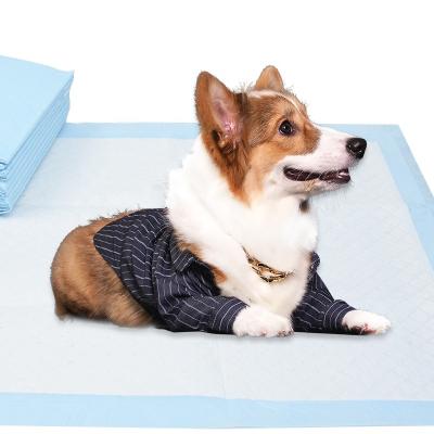 China Stocked 5 Layers Amazon Top Pad Selling Type Puppy Pet Potty Training Pad for sale