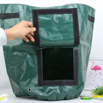 China For Plant PE Fabrics Potato Pot Container Garden Tool Growing Vegetable Plant Grow Bag in 3,5,7,10 Gallon Capacity for sale