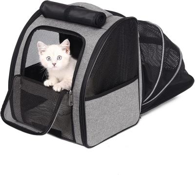 China Viable Hot Sales Expandable Portable Bag Cat Backpack Transport Pet Carrier for sale