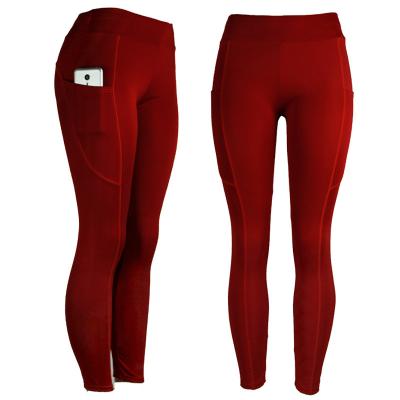 China Custom Made Sports Breathable High Quality Antibacterial Mesh Leggings Women Fitness for sale