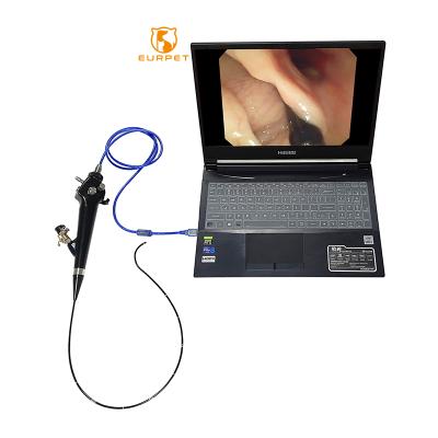 China Surgiery Device EURPET HD Resolution USB Video Portable Veterinary Endoscope Gastroscope Colonoscope for Veterinarian Use for sale