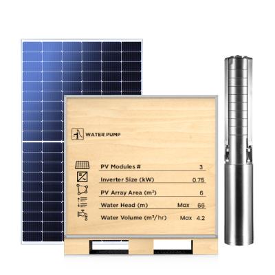 China Home 800W SOLAR WATER PUMP KITS with smart APP monitor and solar mounting system off-grid solar system for deep well and agriculture for sale