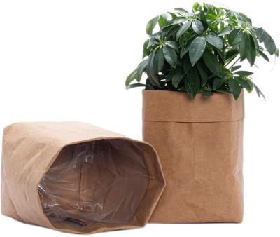 China OEM Custom Reusable Kitchen Viable Bathroom Home Food Grocery Organize Folding Cloth Plants Flower Pots Kraft Paper Washable Bag Brown for sale