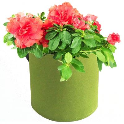 China 3 Gallon Felt Vegetable Flower Grow Basket Durable Fabric Strawberry Potato Nursery Plant Handle Recycled Growing Bags Felt Grow Bag for sale