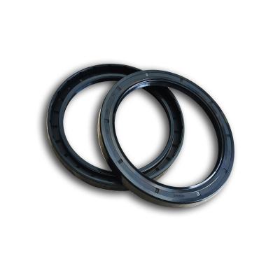 China Hot Selling Industry Gasket Manufacturing TC Gaskets for sale