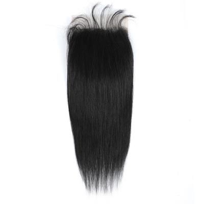 China 100% Brazilian Virgin Human Hair Wigs Natural Wave 4x4 Full Closure Straight High Density Full Lace Wig For Color Women Remy Hair for sale