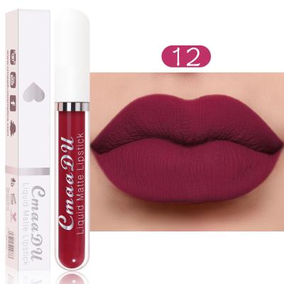 China Waterproof Lip Gloss Vendor Customized Waterproof Lip Gloss Matte Lip Gloss for sale