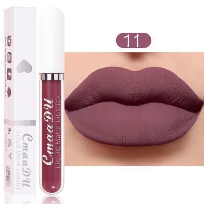 China Waterproof Wholesale 18 Color Matte Waterproof Makeup Long Lasting Simple Packaging Lip Gloss for sale