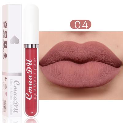 China 2021 Hot Selling Waterproof Liquid Lipstick Matte Waterproof Lipstick for sale