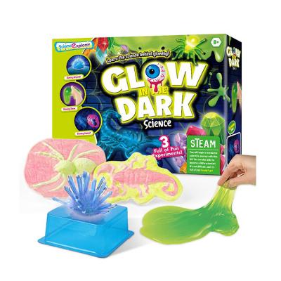 China Safe High Quality Children's Science Experiment Set Luminous Crystal Growth Gypsum Doll DIY Educational Toy for sale