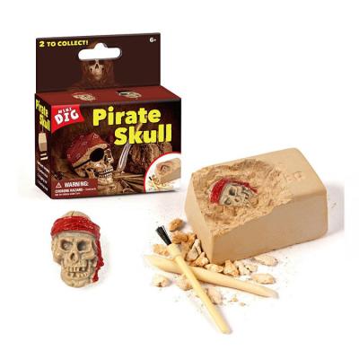 China Safe hot sale kids other superdry grow future toys pirate treasure digging kit educational thinking toys for sale