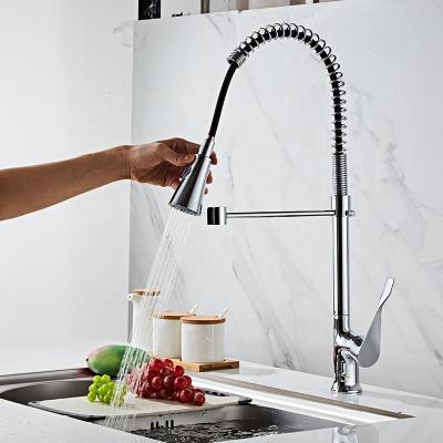 China Modern Spring Release Faucet Kitchen Hot And Cold Mixer Basin Sink Faucet Multifunctional Plant Bathroom for sale