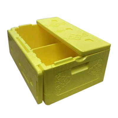 China DURABLE/ECO-FRIENDLY Wholesale PPE Folding Portable Cooler Box Mini Cooler Box /Vacuum Insulation Cooler Box for sale