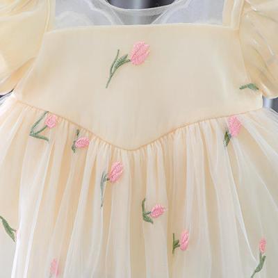 China New Anti-wrinkle Summer Babies Embroidered Dress Kids Cute Butterfly Wings Lace Up Dress for sale