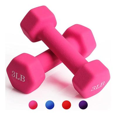 China High Quality Customized Paint-baked Dumbbell Neoprene Dumbbell Set Gym Dumbbell for sale