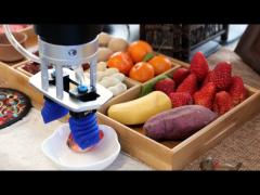 Food Safety 1600g Universal Soft Pneumatic Gripper