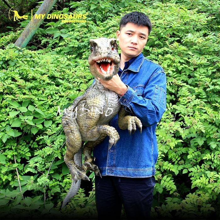 Verified China supplier - Zigong My Dinosaurs Culture And Arts Co., Ltd.