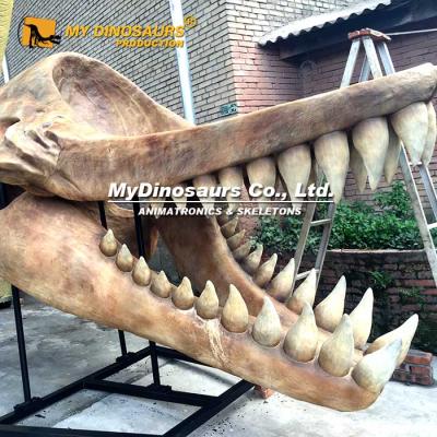 China Waterproof My Dino XJ116 Melville Whale Skulls And Skeletons Artificial Animals For Sale for sale