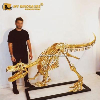 China Waterproof My Life Size Golden Dino AA645 Trex Dinosaur Skeleton For Exhibit for sale