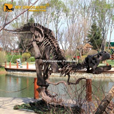 China Attraction and Exhibition My Dino DS-016 Amongst Animatronic Dinosaurs Best T-Rex Dinosaur Model Skeleton for sale