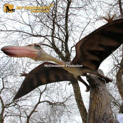 China Waterproof My Dino XJ213 Dinosaurs High Quality Realistic Animatronic Pterodactyl for sale